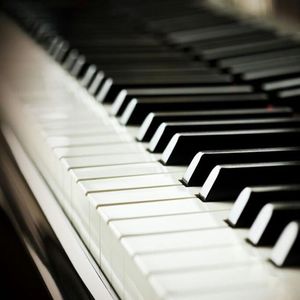 国产免费牲交视频
