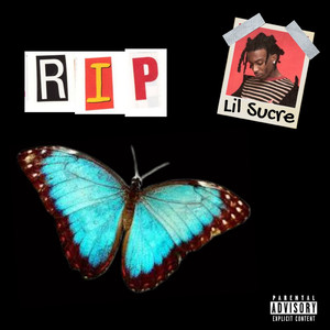 国产免费牲交视频
